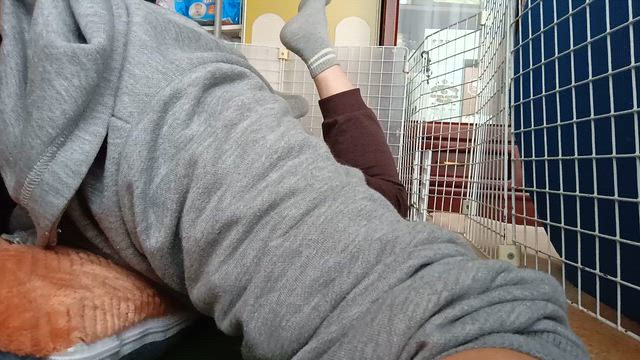 軽快にピョン…。の記事動画