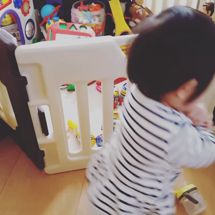 しまじろう(・(ェ)・)の記事動画
