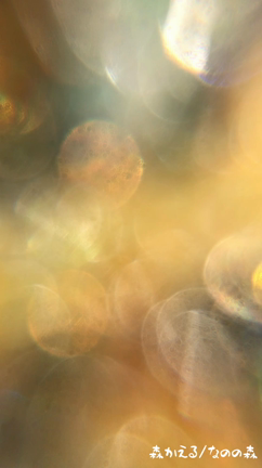 コロナメッセージの龍神様を描く/脳内を走る雷の記事動画