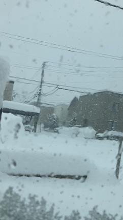 大雪により２度目のキャンセルを余儀なくされたことの記事動画