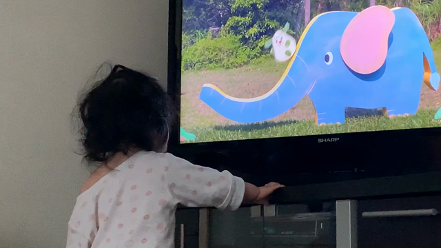 １歳１ヶ月児の語彙力の記事動画