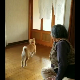 だいちゃん豹変の画像