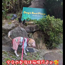 2024/01/24の画像