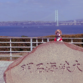 まろん家淡路島旅行✨まとめ✨の画像
