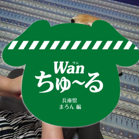 ちゅーるいただきます( '༥' )ŧ‹”ŧ‹”の画像
