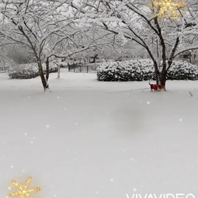 今日も雪遊び( ⑉¯ ꇴ ¯⑉ )の画像