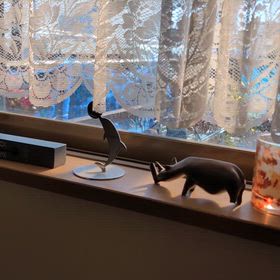 ヒヨちゃんがやってきたの画像