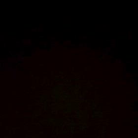 2026/03/26の画像