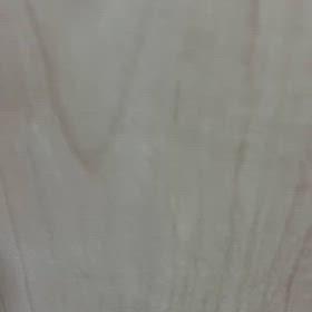 2026/03/14の画像