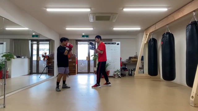 昨日の訪問者の記事動画