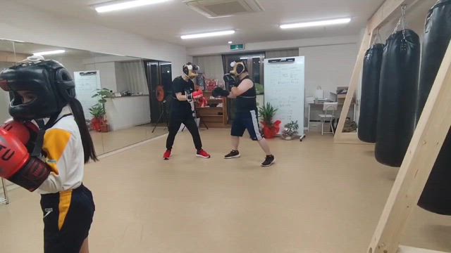 2024/09/18の様子の記事動画