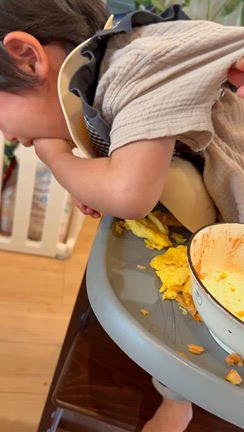 イヤイヤ期わかってても辛いもんは辛い！の記事動画