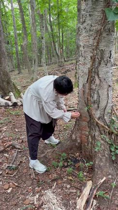 【北海道】浦河にきました！２週間の保育園留学の記事動画