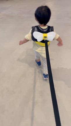 【沖縄2日目】釣ってみつける冒険の国沖縄！子供も大人も楽しすぎる...の記事動画