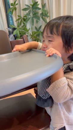 イヤイヤ期わかってても辛いもんは辛い！の記事動画