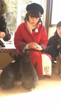 動物との記事動画