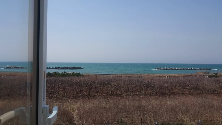4月25日 今日も風強しですの記事動画