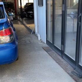 新しいペット？の画像