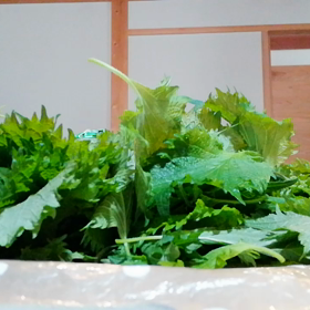 ぜえーーーったい無理!!!だったのにの画像