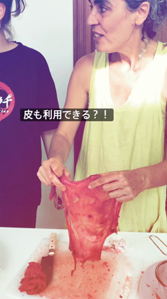 【スペイン出産記録】胎盤、フリーズドライ化★の記事動画