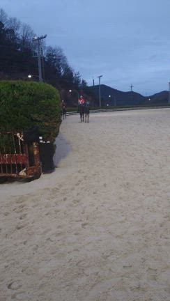 コモリリーガル復帰戦の記事動画