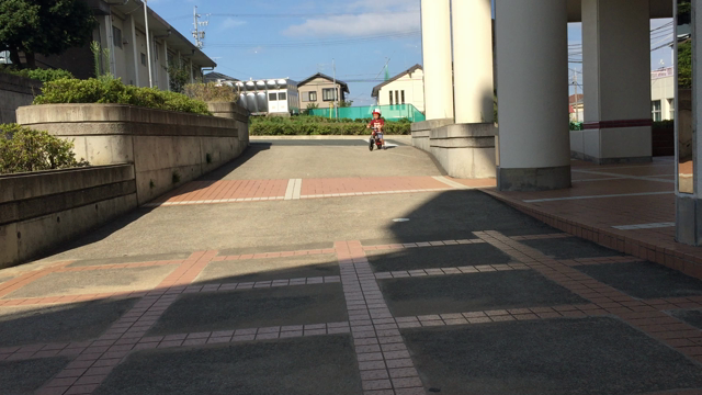 ほんまかいな。の記事動画
