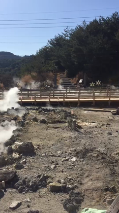 え？の記事動画