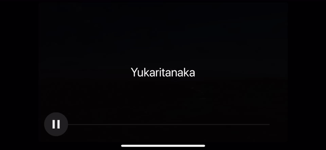今日はこんなことしましたの記事動画