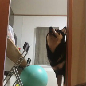 絶対に閉めさせません！の画像