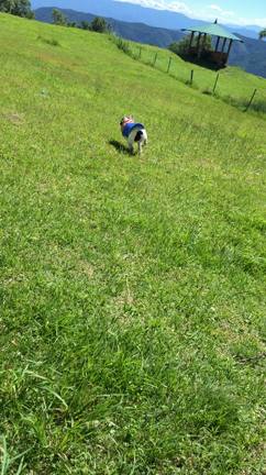 寝坊しちゃったからの記事動画