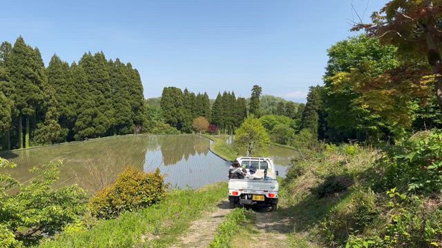 米作り日記　2025　in 富山の記事動画
