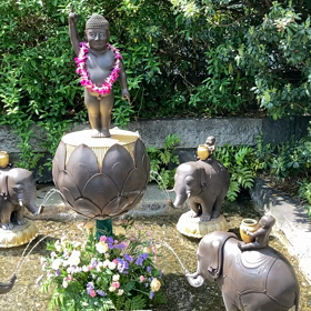青松寺　愛宕の画像