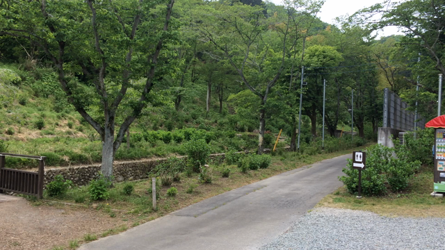 森にありがとうの記事動画