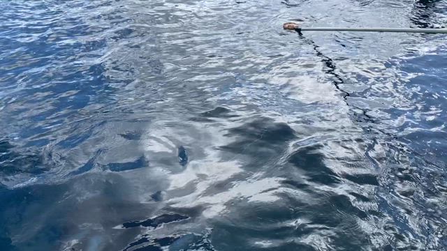 OKINAWA② 体重計見て爆死の記事動画