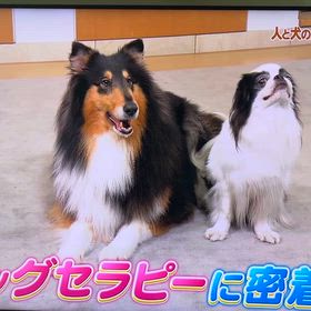 withワンの活動の画像