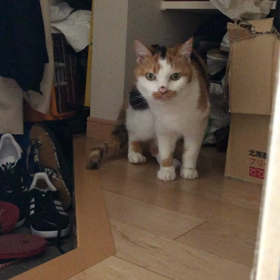 GMの画像