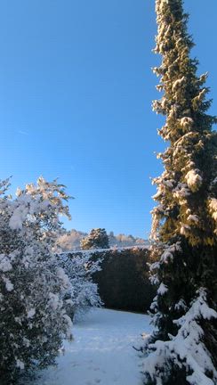 初雪　フランス 極寒マイナス１０の世界！の記事動画