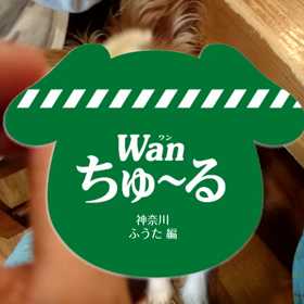 久しぶりの帰宅の画像