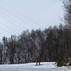 今年も少しは滑っています！の画像