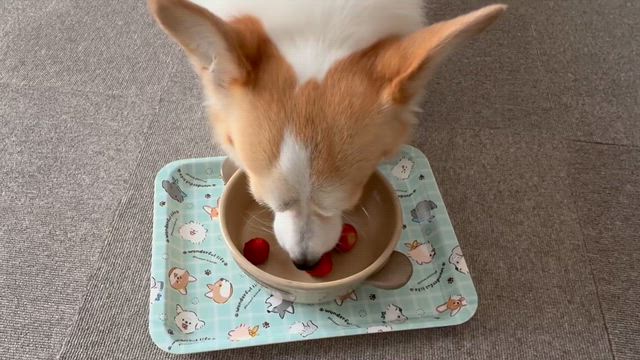 美味しかったのペロ〜ンの記事動画
