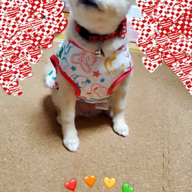 6歳おめでとうの画像