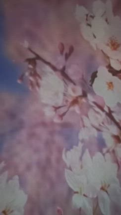 伊豆高原大好き（笑）の記事動画