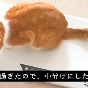 2025/05/21の画像