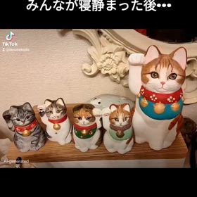 2025/04/29の画像
