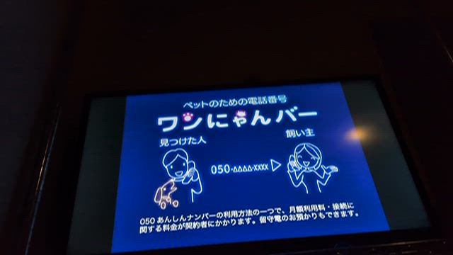 寒さとたぬきとの戦いの記事動画