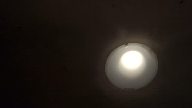 2日連続食べ過ぎで気持ち悪い…(─.─||）の記事動画