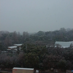 雨からの画像
