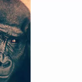 力まない身体になるためにの画像