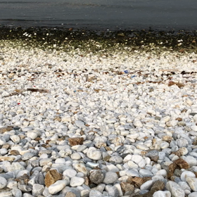 そんな時こその画像