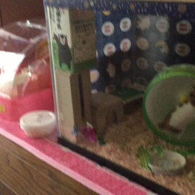 朝のお約束(*ﾟ□ﾟ)/の画像